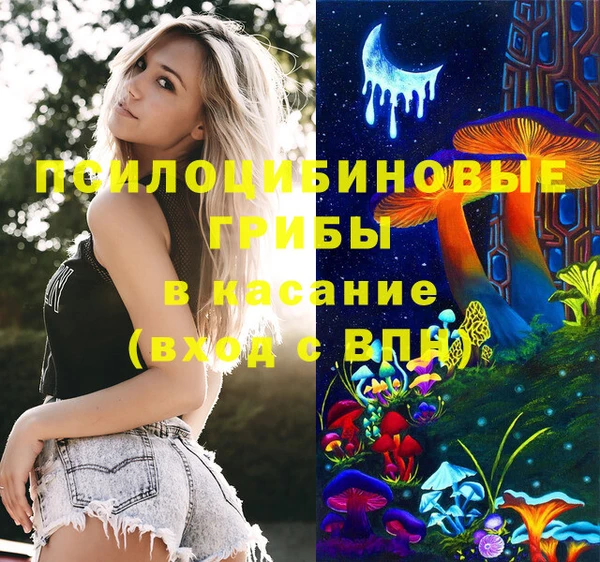 трава Богородицк