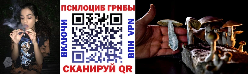 Псилоцибиновые грибы GOLDEN TEACHER даркнет сайт Бузулук